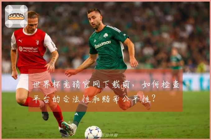 世界杯竞猜官网下载前，如何检查平台的合法性和赔率公平性？