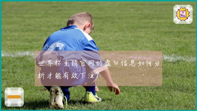世界杯竞猜官网的盘口信息如何分析才能有效下注？